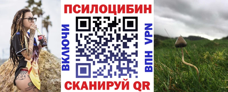 Галлюциногенные грибы GOLDEN TEACHER  мега зеркало  площадка состав  купить наркотик  Козловка 